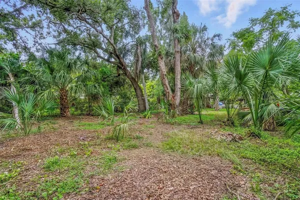 a view of a yard with a tree