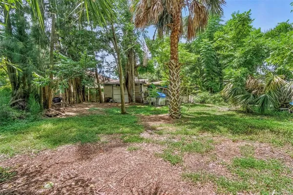 a view of outdoor space with deck and tree