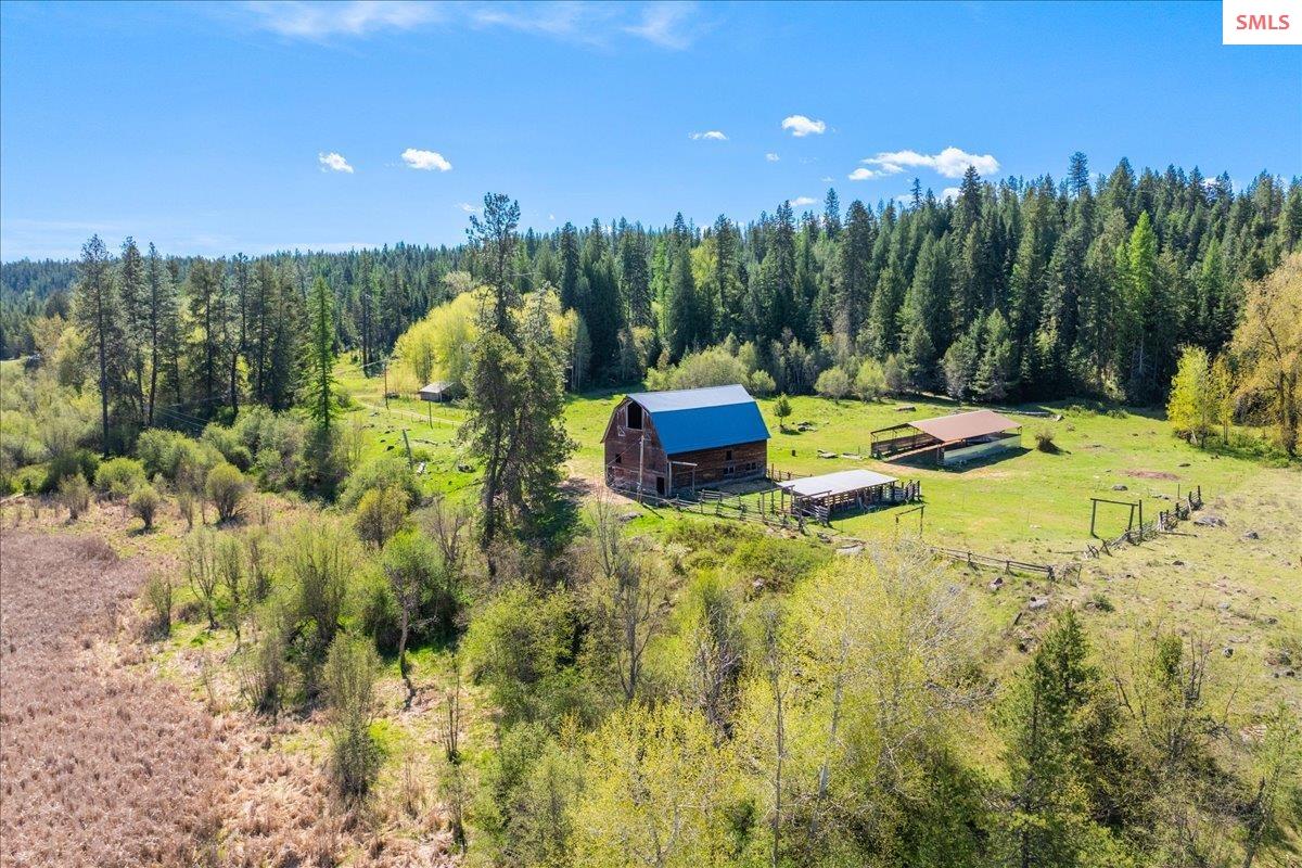 4610 Kelso Lake Road Athol, ID 83801 - Photo 15 of 71 Gallery Image 15