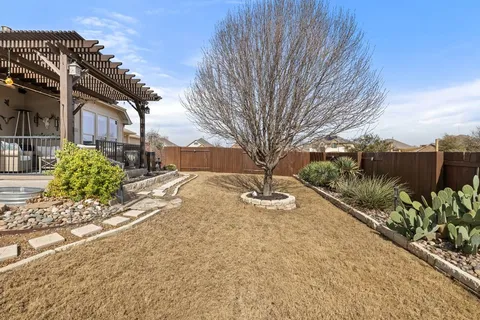 a street view with large trees