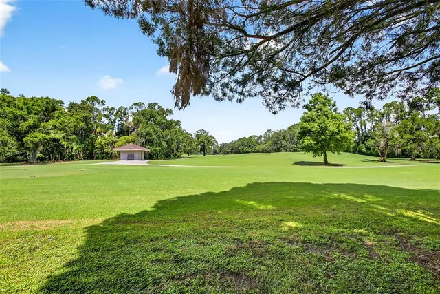 a view of a green field