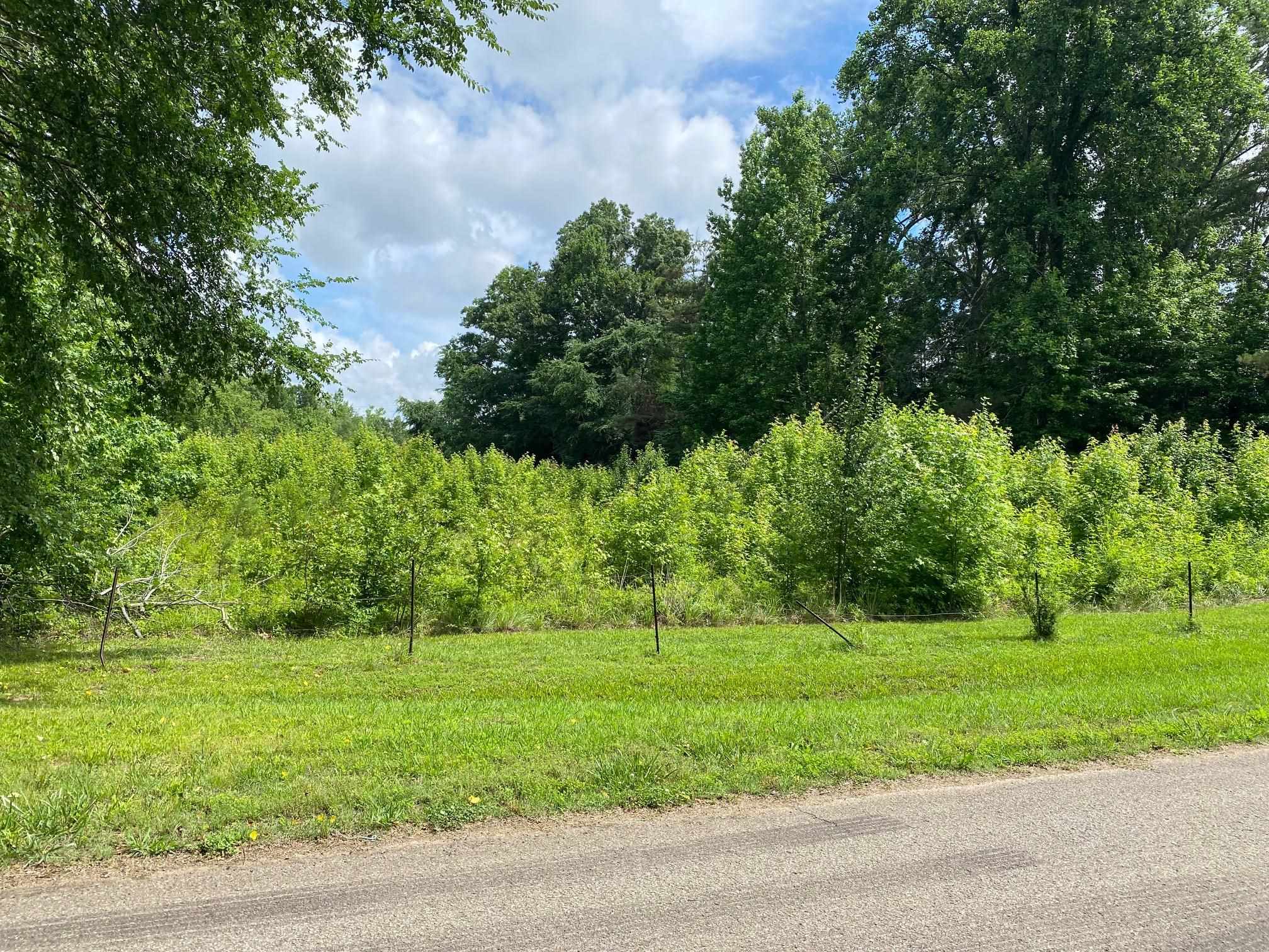 Old Morris Chapel Road Adamsville, TN 38310 - Photo 8 of 13