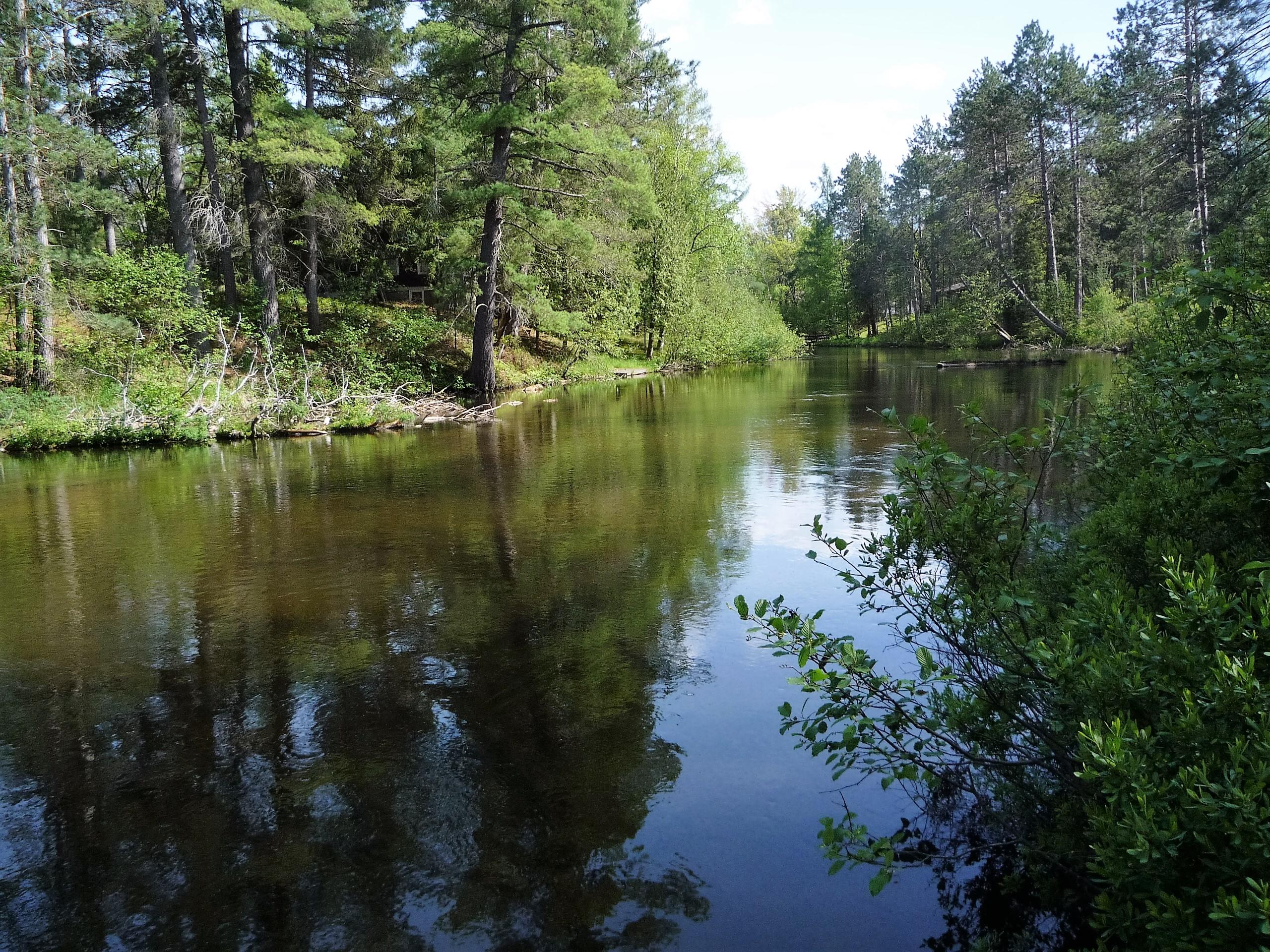 15662 Riverview Road Southeast Grayling, MI 49738 - Photo 32 of 41 Gallery Image 32