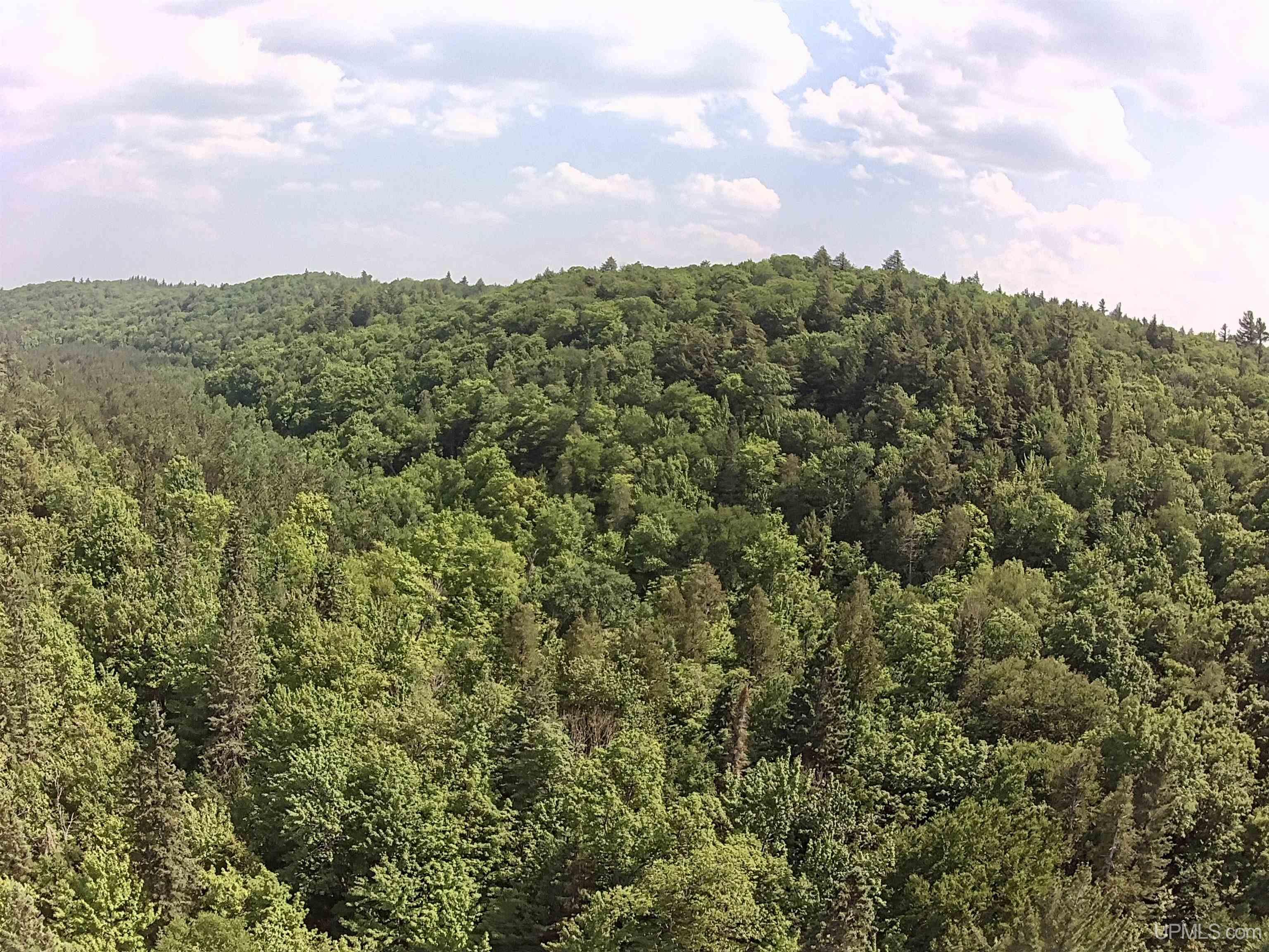 510 Rd Ishpeming Mi 49849 Road Negaunee, MI 49866 - Photo 36 of 54