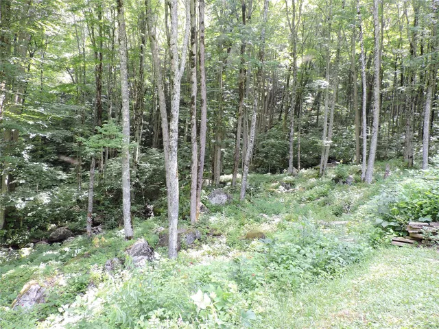 $699,500 | 103 Chucks Lane, Bakersville, NC 28705