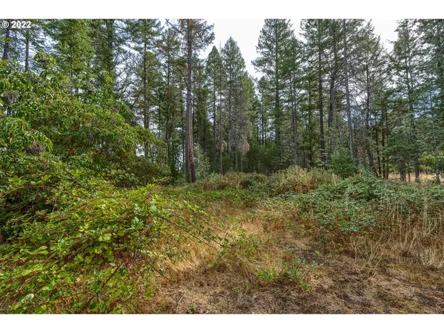 a view of outdoor space and green space