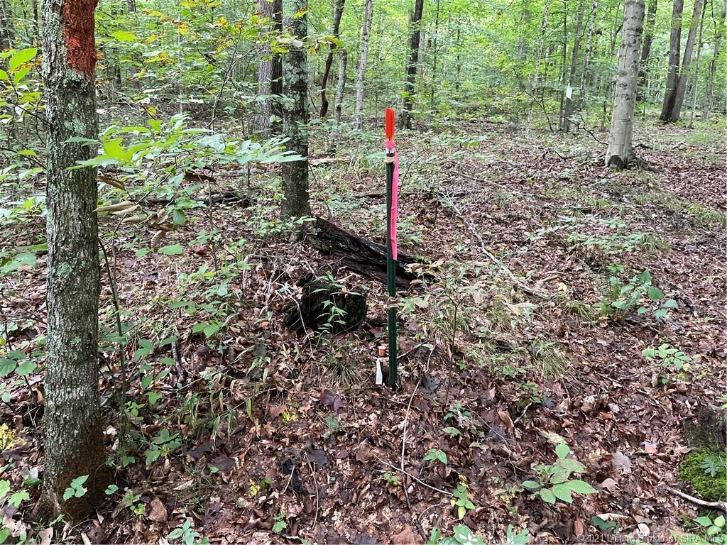 Mifflin Westfork Road English, IN 47118 - Photo 16 of 45
