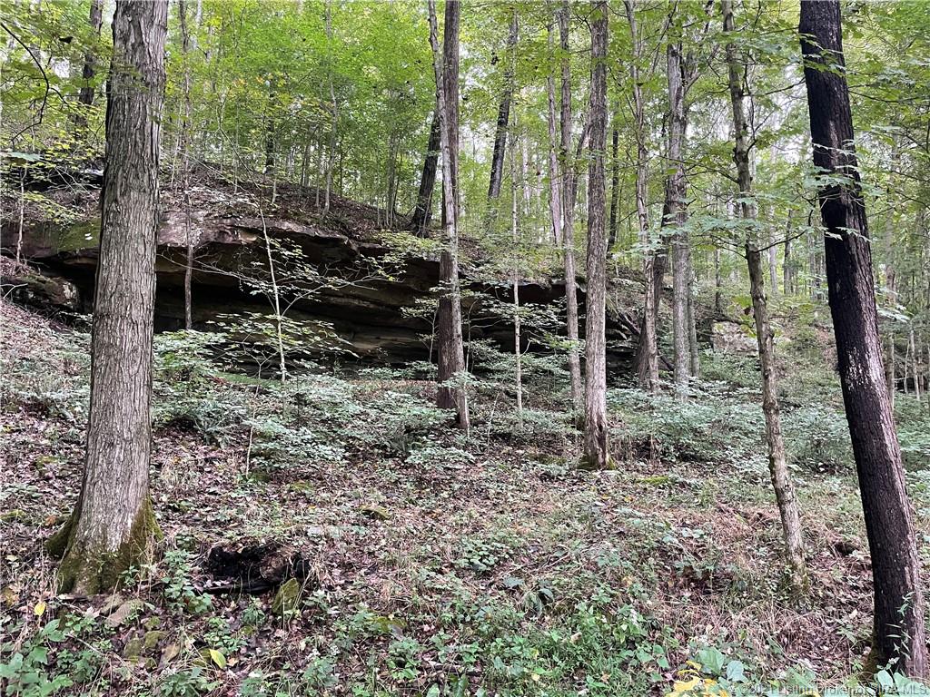 Mifflin Westfork Road English, IN 47118 - Photo 17 of 45