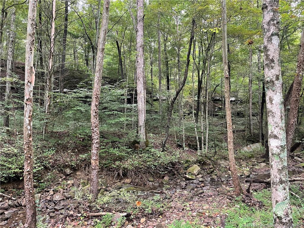 Mifflin Westfork Road English, IN 47118 - Photo 18 of 45