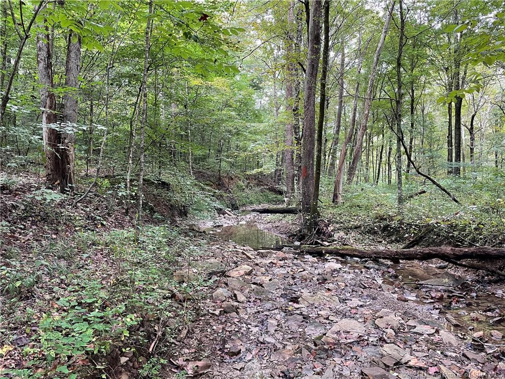 Mifflin Westfork Road English, IN 47118 - Photo 10 of 45
