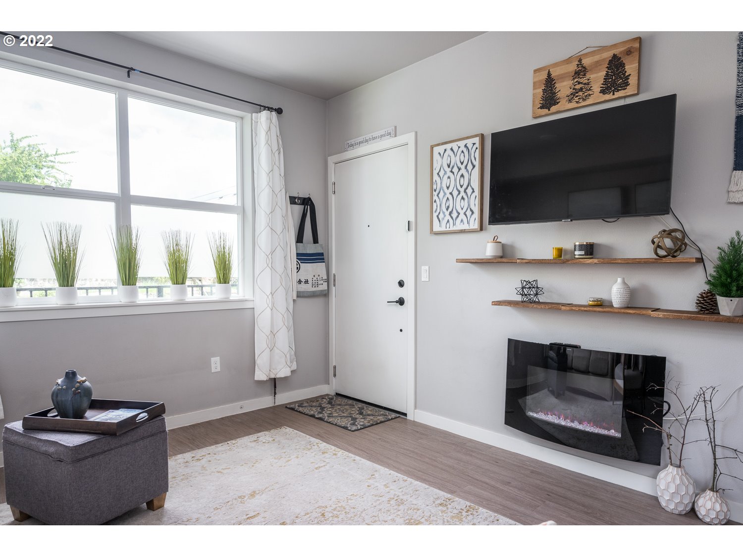 Living Room/Entrance