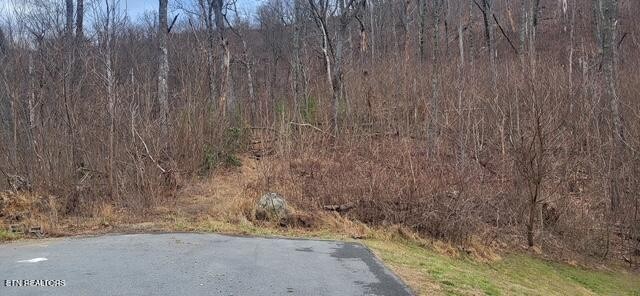 703 Topside Road Gatlinburg, TN 37738 - Photo 2 of 8 Gallery Image 2