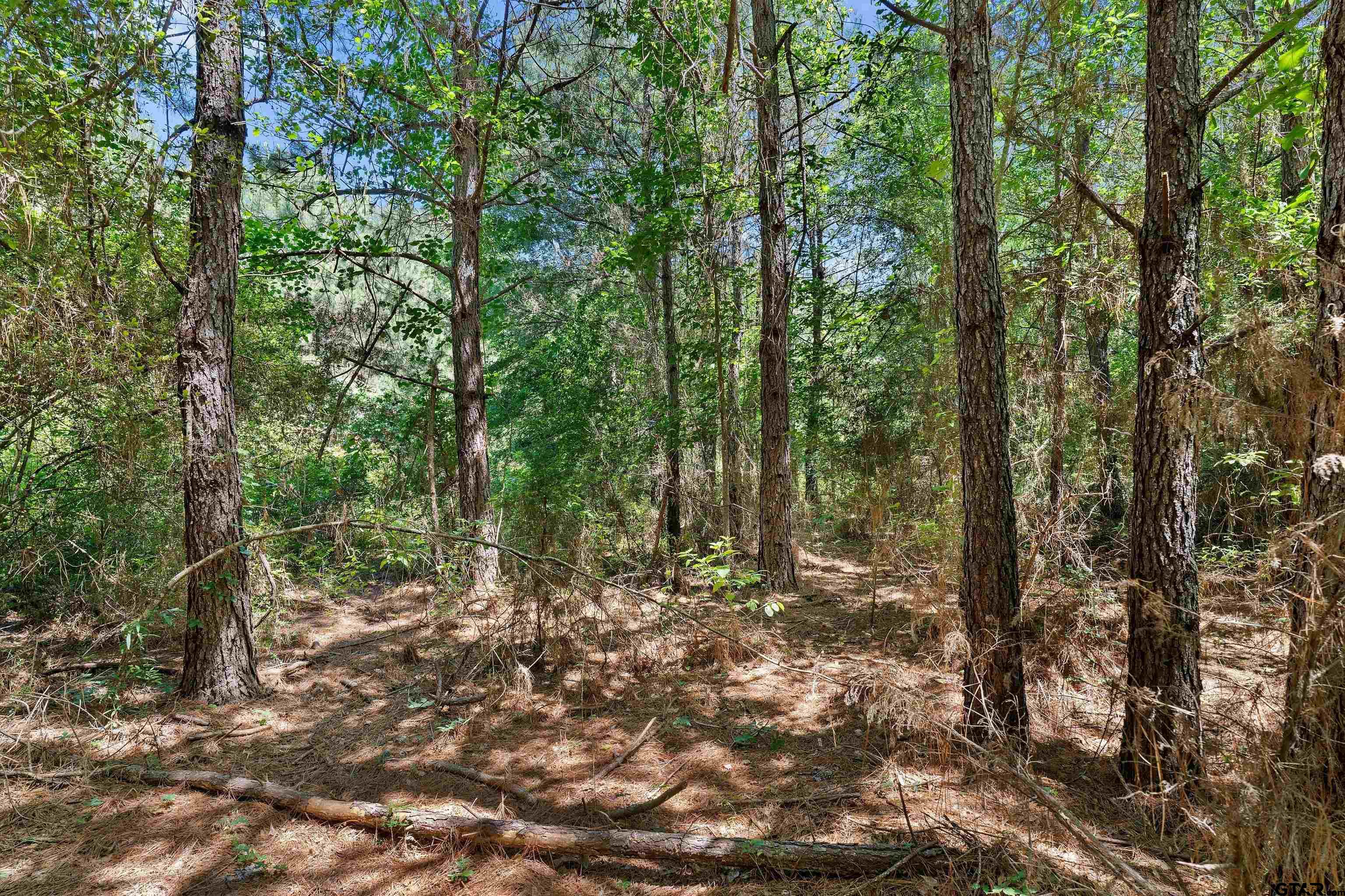 3361 (tract De Berry, TX 75639 - Photo 11 of 11