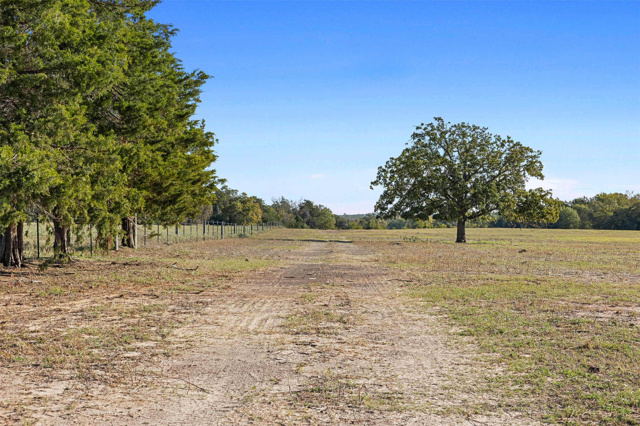 0 Stockade Ranch Road Paige, TX 78659 - Photo 6 of 37 View of yard with a view of rural / pastoral area