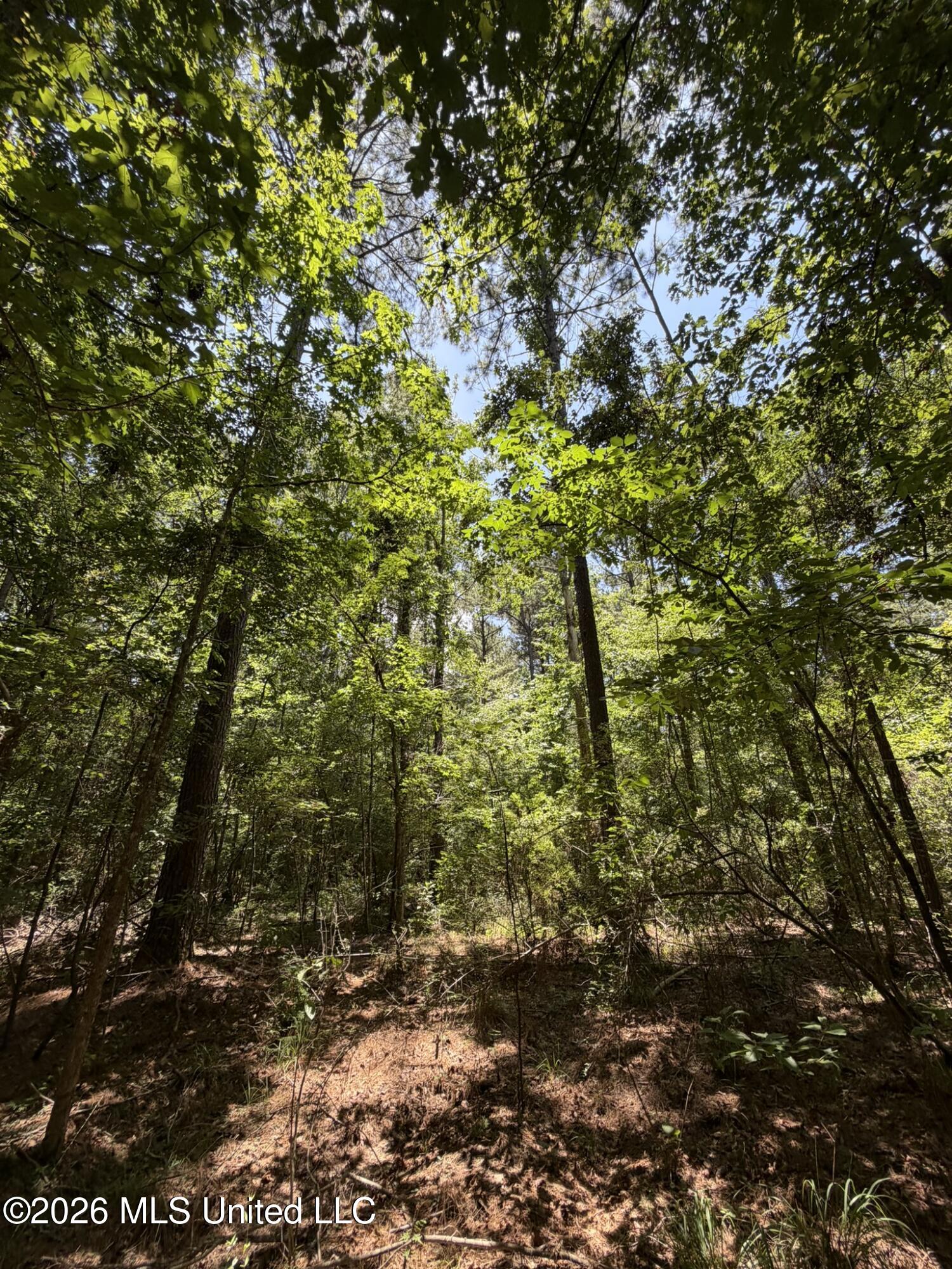 2497 Linfrank Line Drive Southwest Smithdale, MS 39664 - Photo 7 of 14 IMG_0723