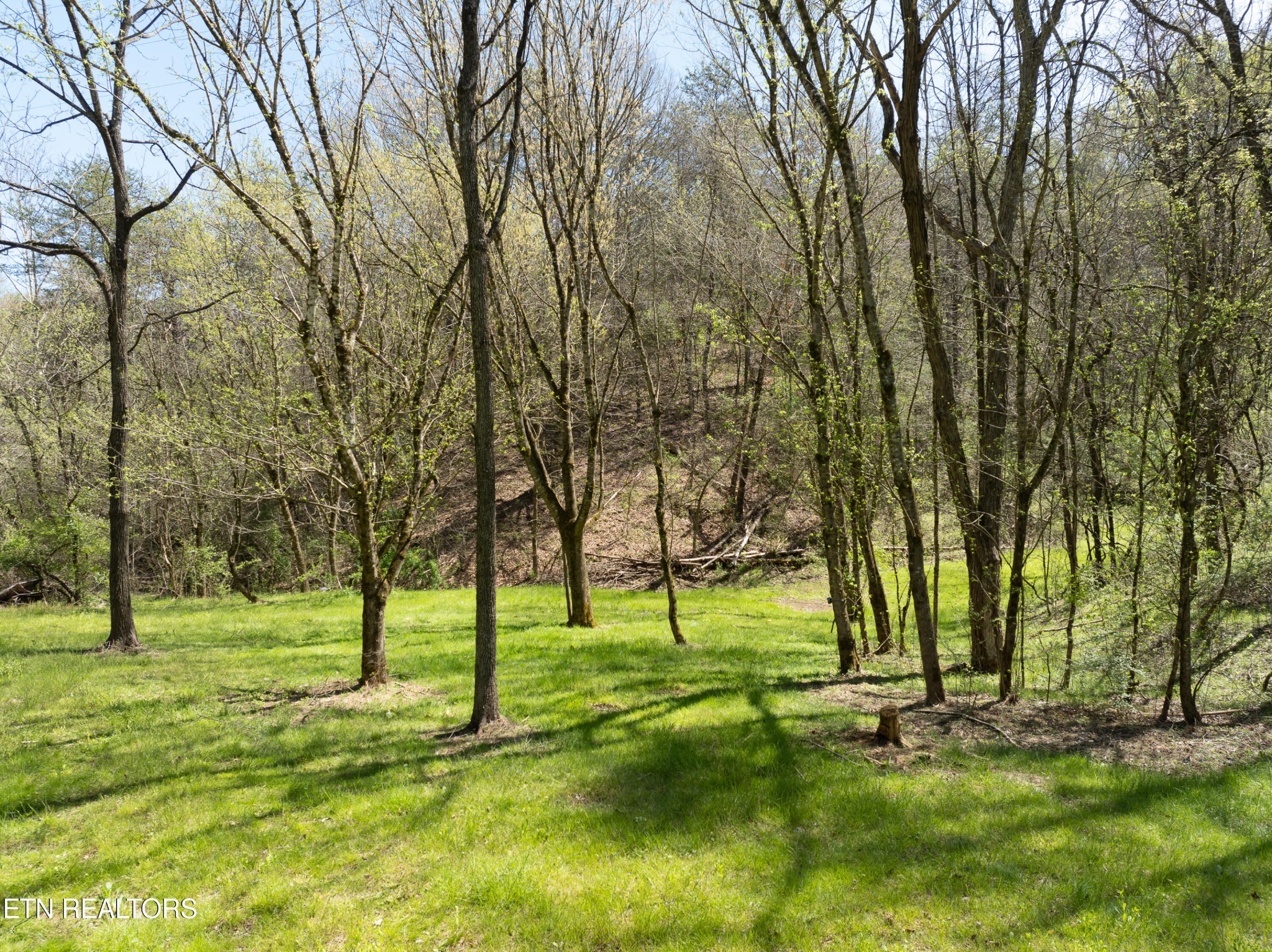 5133 6 Mile Road Maryville, TN 37803 - Photo 50 of 59 Gallery Image 50
