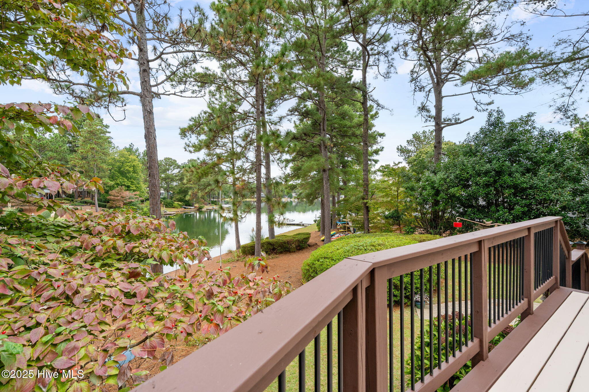 114 Cobblestone Court West End, NC 27376 - Photo 14 of 43 39-web-or-mls-DSC03422