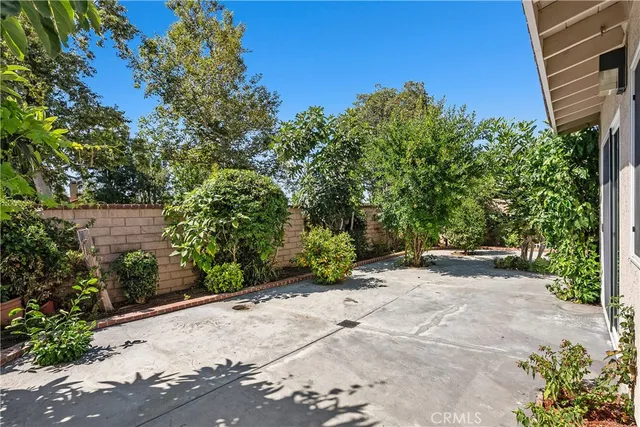 a view of a yard with plants and trees