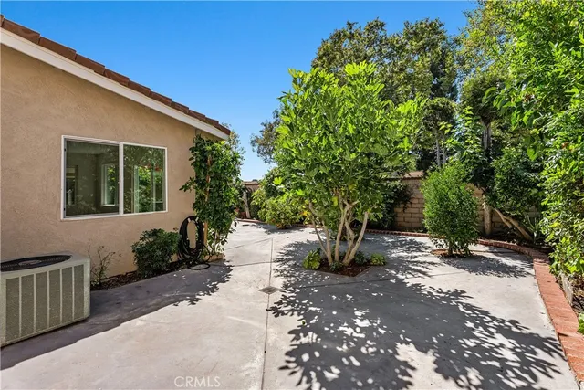 a view of a backyard with plants and trees