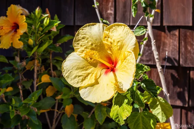 $1,549,000 | 214 The Knoll, Orinda, CA 94563