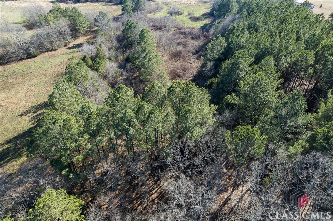 Tract5 A B Martin Road Good Hope, GA 30641 - Photo 8 of 21