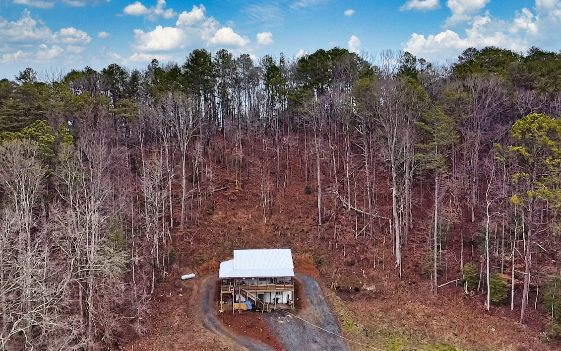 1640 East New Hope Road Ellijay, GA 30536 - Photo 42 of 44 Additional View
