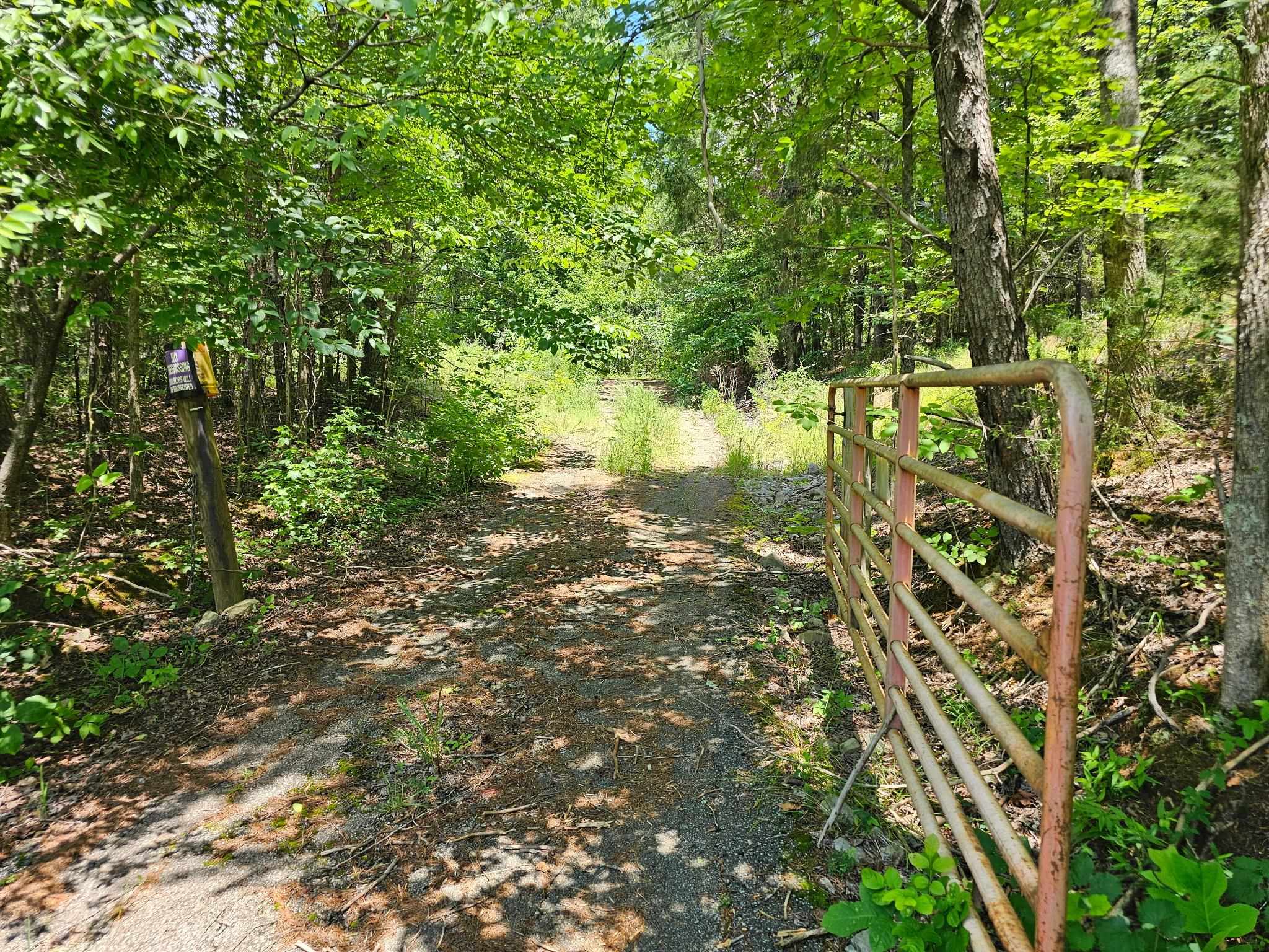 Old Ferry Road Bath Springs, TN 38311 - Photo 3 of 8