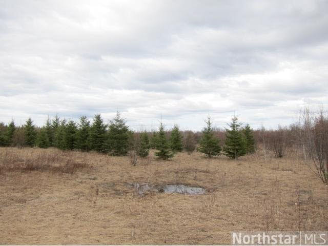 Xxx Arctic Road Northwest Puposky, MN 56667 - Photo 1 of 3 Gallery Image 1