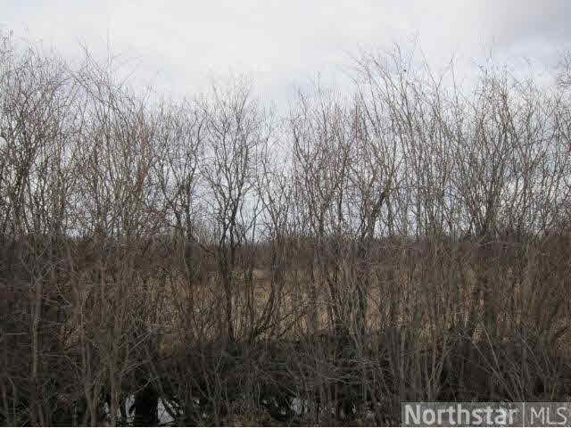 Xxx Arctic Road Northwest Puposky, MN 56667 - Photo 2 of 3 Gallery Image 2