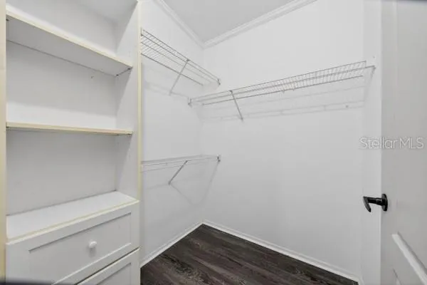 a bathroom with a shower and toilet