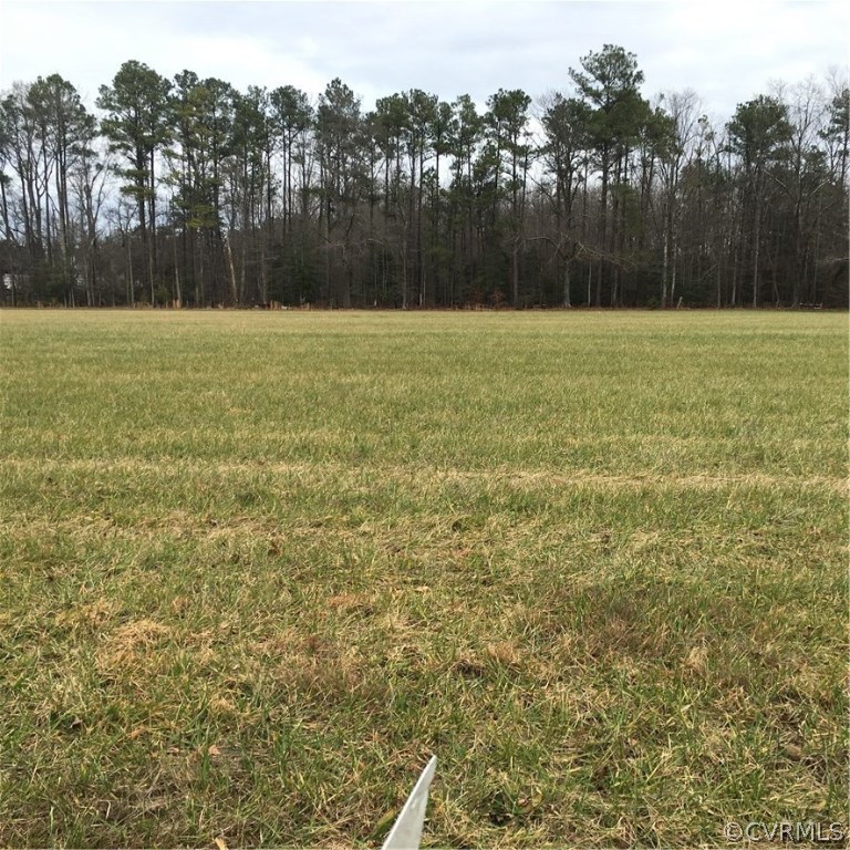 0 Stumpy Road Hanover, VA 23069 - Photo 3 of 13 a view of a field with trees in the background