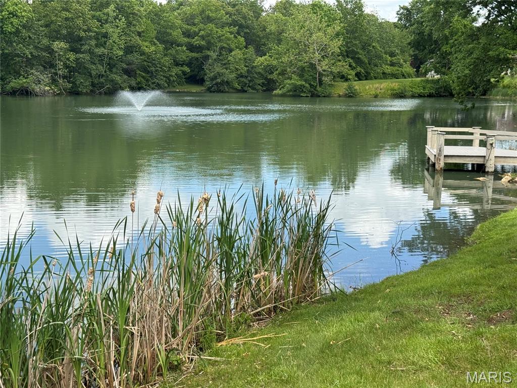 16329 Justus Post Road Chesterfield, MO 63017 - Photo 27 of 36 Gallery Image 27