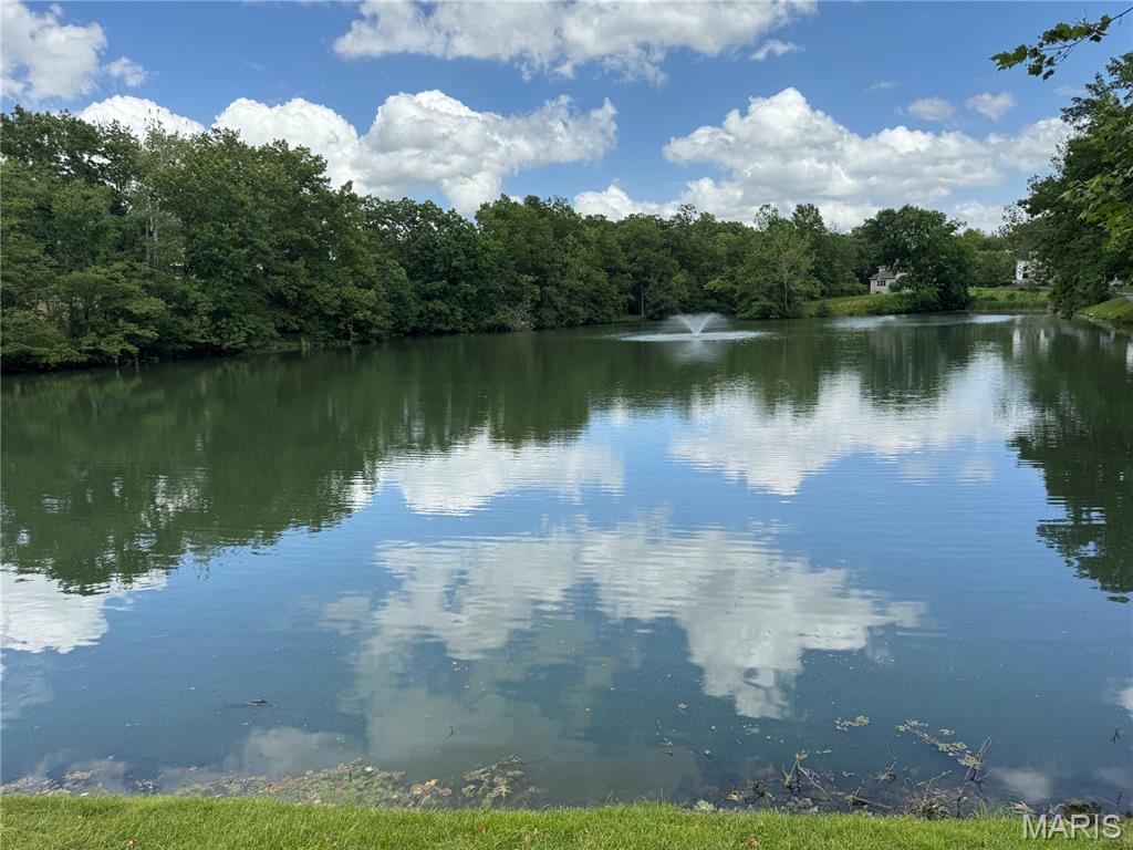 16329 Justus Post Road Chesterfield, MO 63017 - Photo 28 of 36 Gallery Image 28