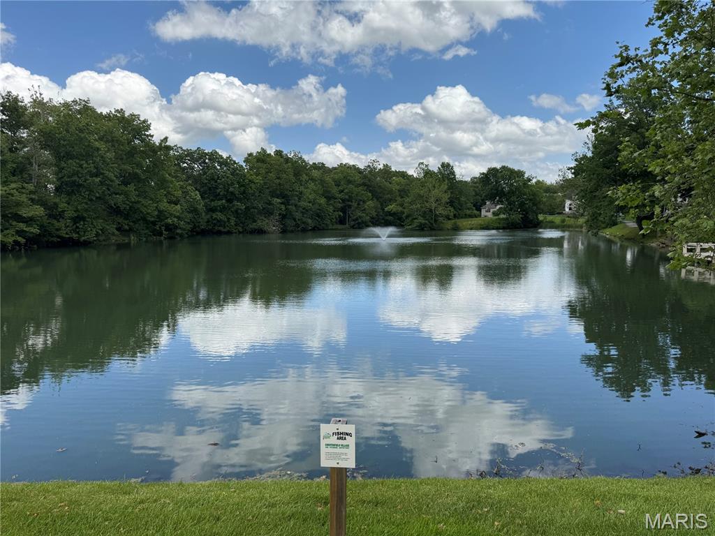 16329 Justus Post Road Chesterfield, MO 63017 - Photo 29 of 36 Gallery Image 29