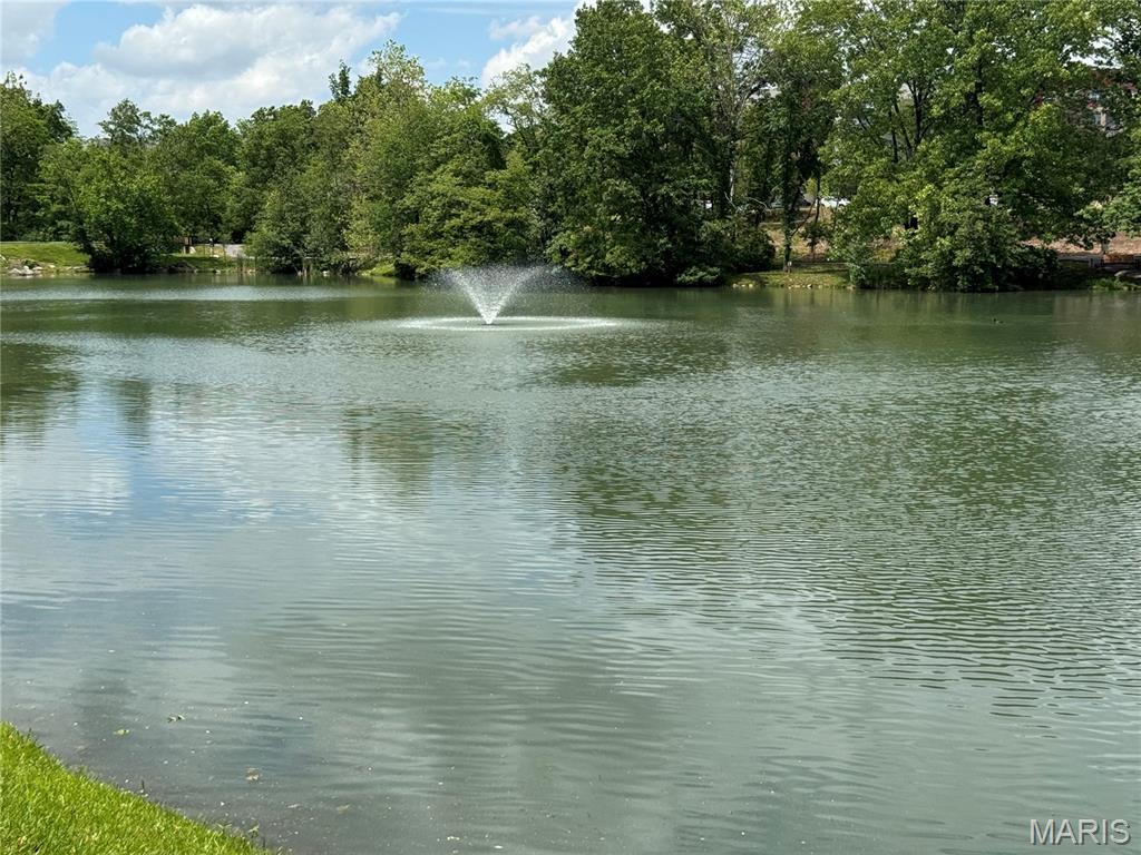 16329 Justus Post Road Chesterfield, MO 63017 - Photo 36 of 36 Gallery Image 36