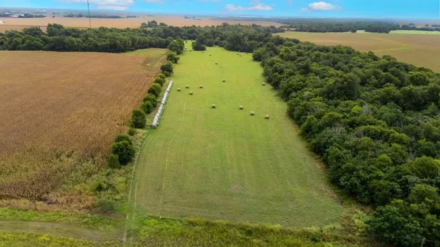 a view of a small yard with lots of green space