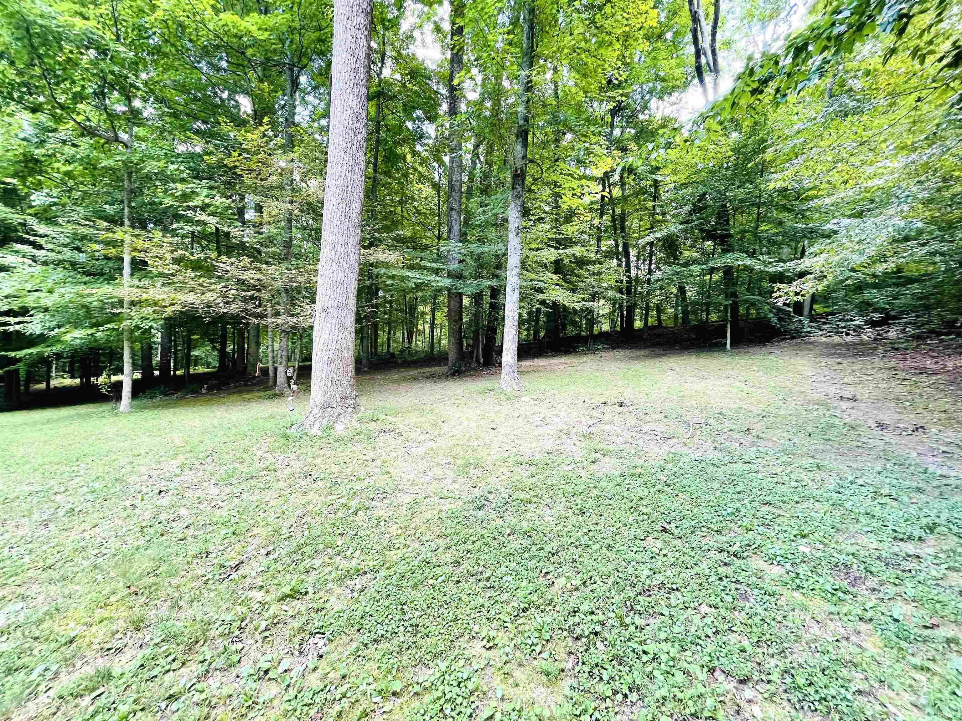 2028 State Ferry Road Solsberry, IN 47459 - Photo 33 of 36 Gallery Image 33