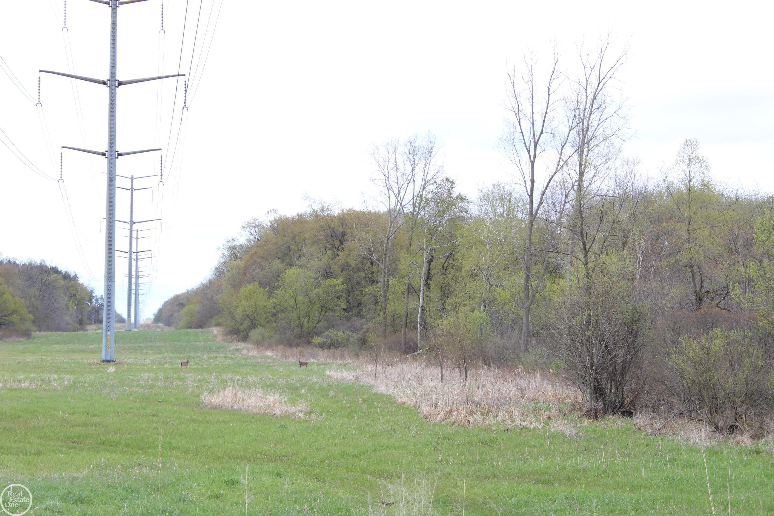 Byron Road Howell, MI 48855 - Photo 5 of 9