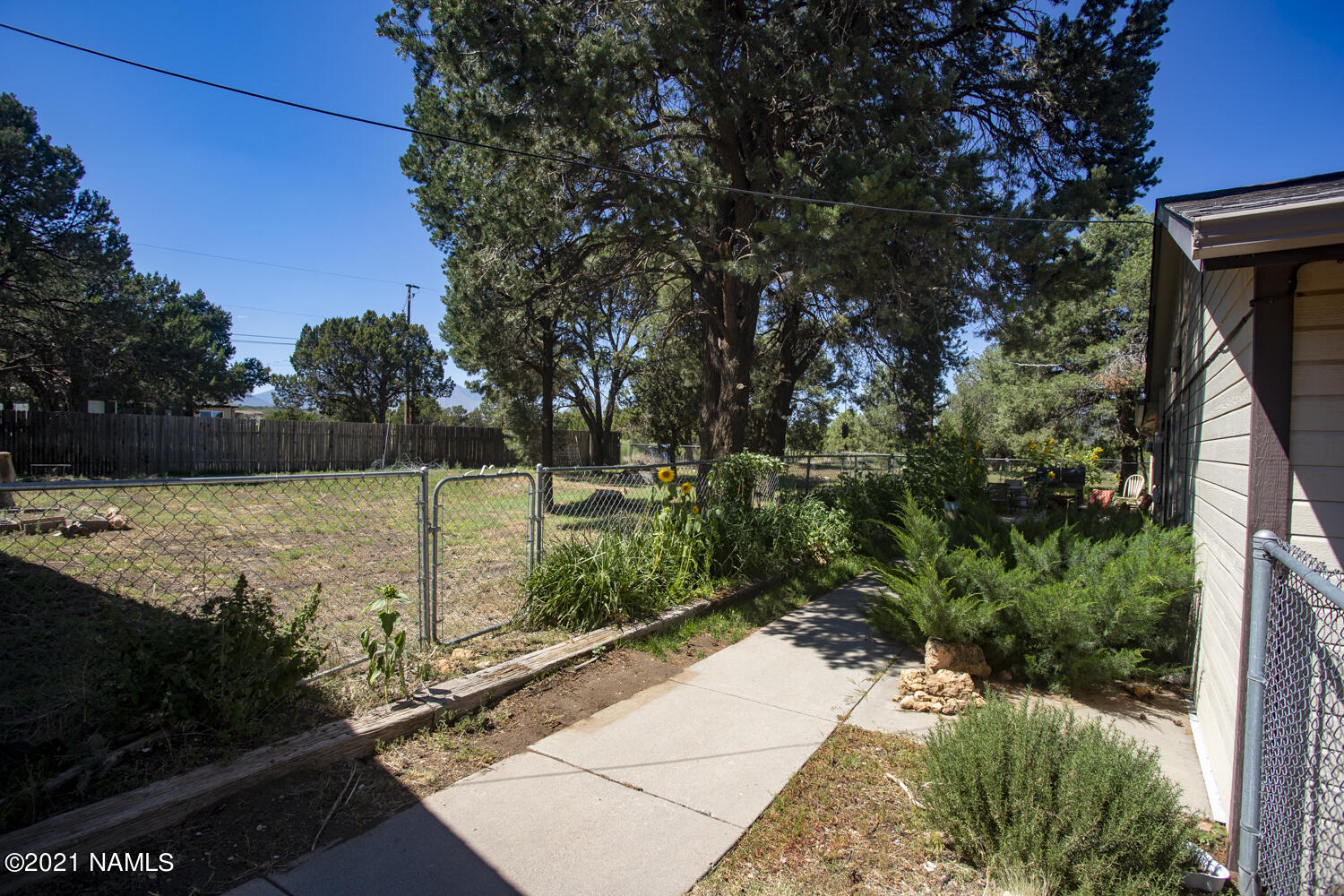 6700 Hutton Ranch Road Flagstaff, AZ 86004 - Photo 29 of 58 IMG_4806