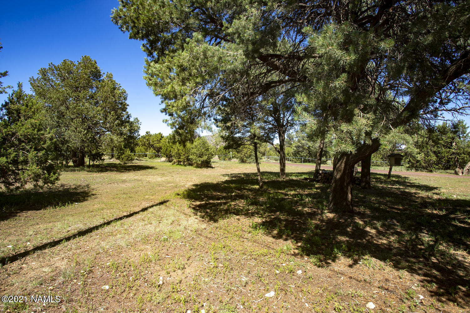 6700 Hutton Ranch Road Flagstaff, AZ 86004 - Photo 32 of 58 IMG_4811
