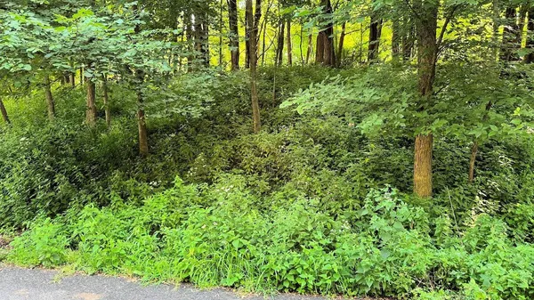 $45,000 | 9-10 Dakota Ridge Road, Baraboo, WI 53913