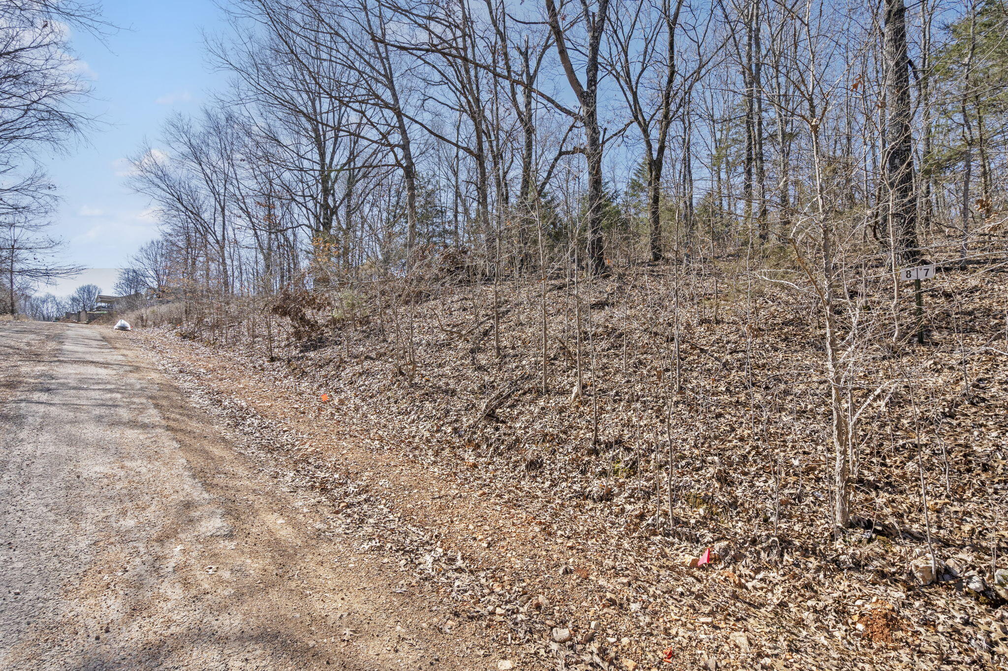 Lot 8 Middlegate Pl Branson Place Reeds Spring, MO 65737 - Photo 11 of 24 Table Rock Lake Build Site