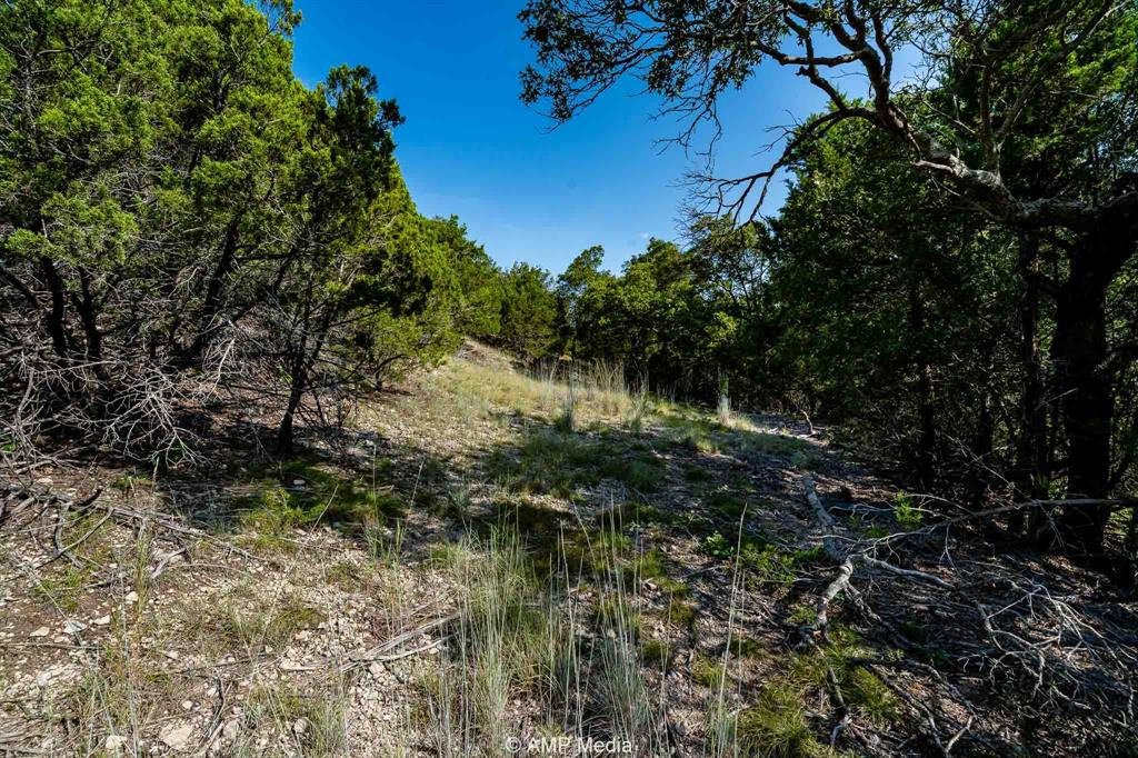 1814 County Road 351 Merkel, TX 79536 - Photo 12 of 31 a view of outdoor space and a yard