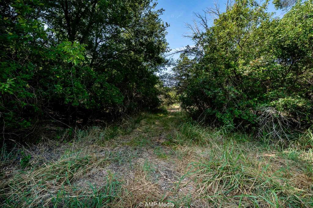 1814 County Road 351 Merkel, TX 79536 - Photo 13 of 30 a view of outdoor space and trees all around