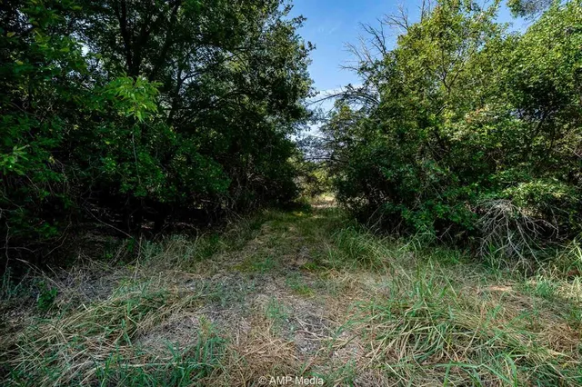 a view of a lake view