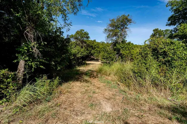 a view of a green field