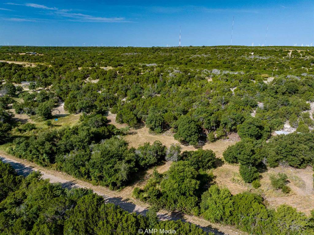 1814 County Road 351 Merkel, TX 79536 - Photo 17 of 31 a view of a green field