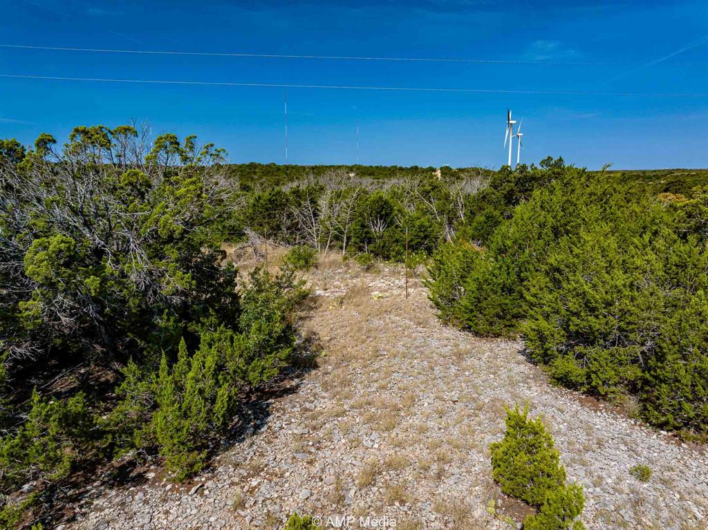 1814 County Road 351 Merkel, TX 79536 - Photo 17 of 30 a view of a yard