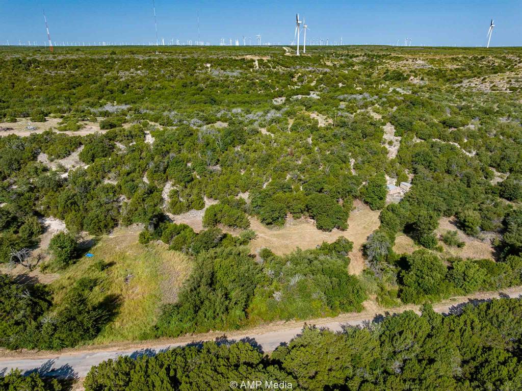1814 County Road 351 Merkel, TX 79536 - Photo 19 of 31 a view of a big yard