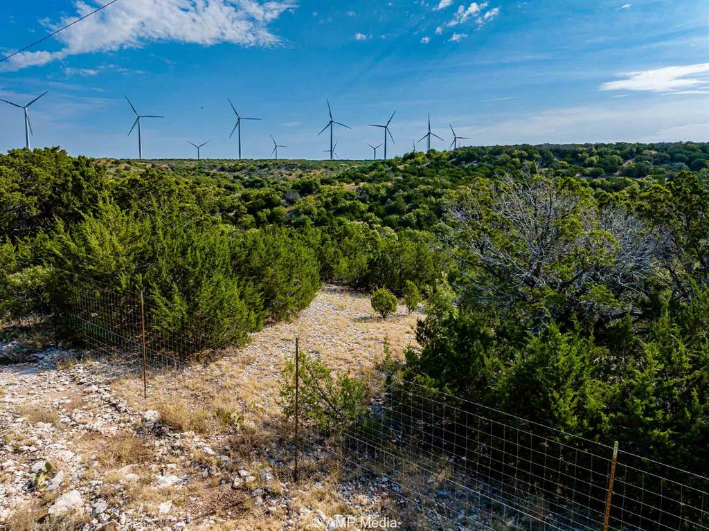 1814 County Road 351 Merkel, TX 79536 - Photo 21 of 31 a view of a yard